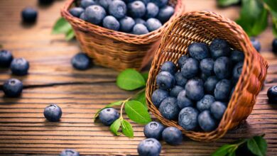 Blueberries Have Many Health Benefits