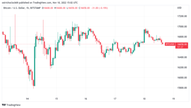 40 bitcoin to usd