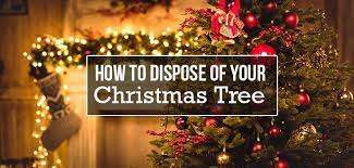 disposal of christmas trees