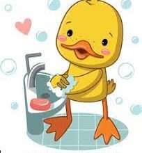 Duck wash