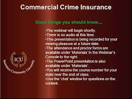 Crime Insurance Is Usually Written On What Basis