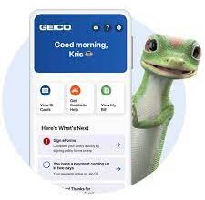 How To Cancel Geico Auto Insurance Online