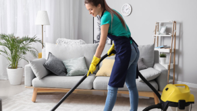 Tips For Choosing The Right Professional Carpet Cleaning Service