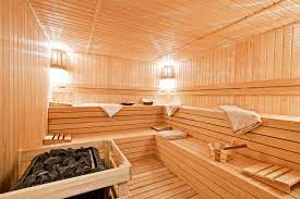 wellhealthorganic.com:difference-between-steam-room-and-sauna-health-benefits-of-steam-room