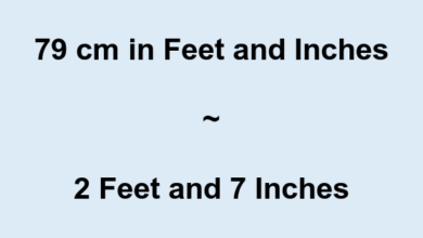 79cm in inches