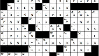 Key points about acronym of talks nyt crossword