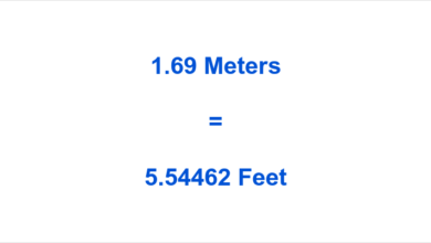 Everything about 1.69 m in feet