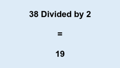 What to look for in 38 divided by 2