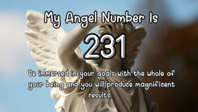 What to look for in 231 angel number