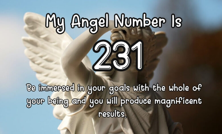 What to look for in 231 angel number