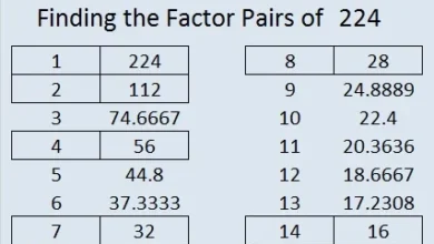 factors of 224