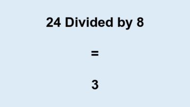 24 divided by 8