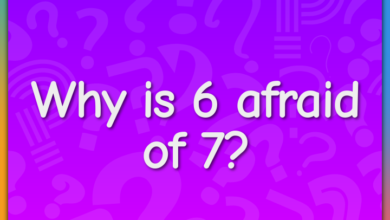 why was 6 afraid of 7