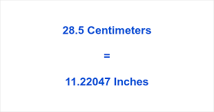 28.5cm in inches