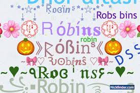 robin's nickname